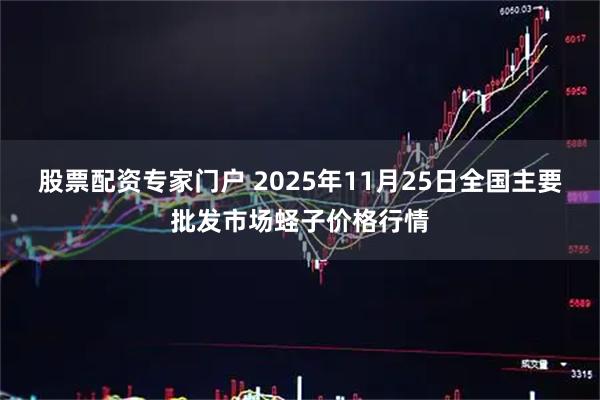 股票配资专家门户 2025年11月25日全国主要批发市场蛏子价格行情