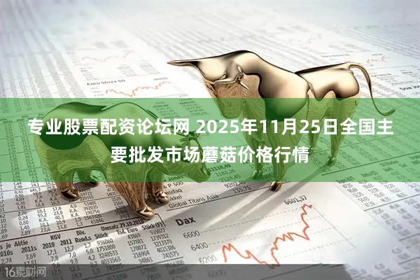 专业股票配资论坛网 2025年11月25日全国主要批发市场蘑菇价格行情